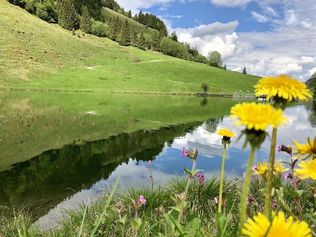 Pension Heidelberg - Fam Fuchs Hopfgarten im Brixental Kültér fotó