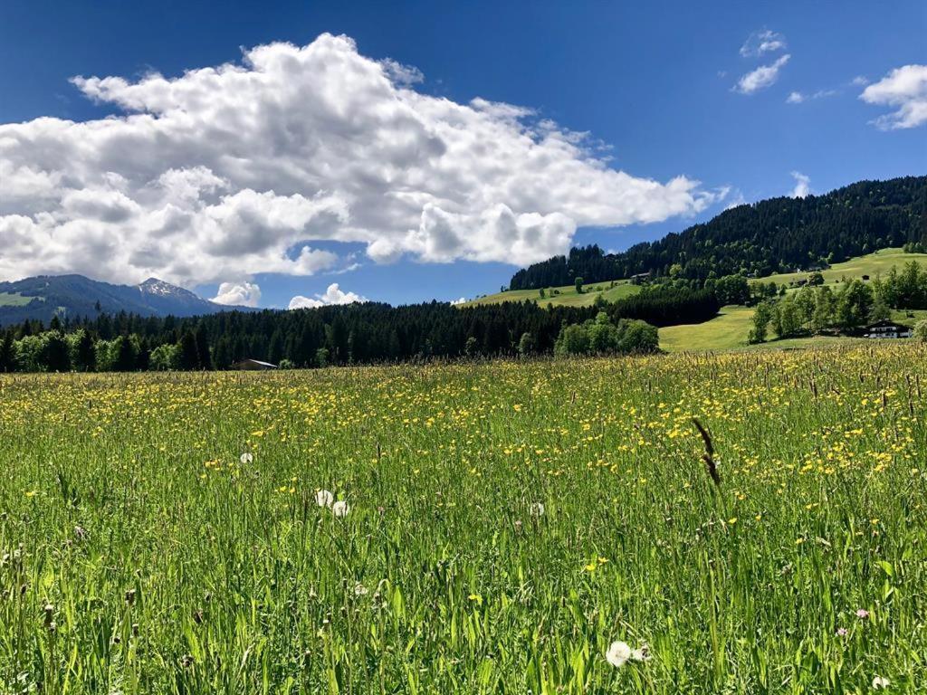 Pension Heidelberg - Fam Fuchs Hopfgarten im Brixental Kültér fotó